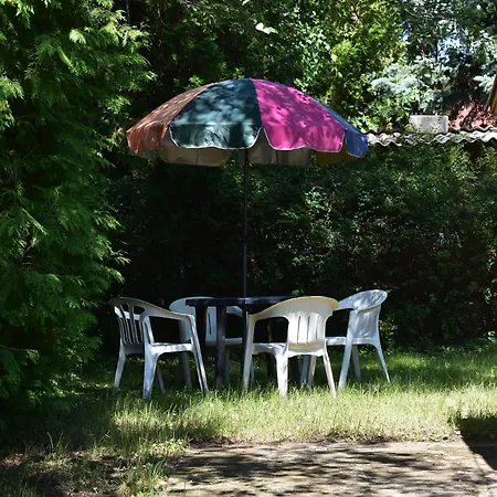 Cozy Family At The Siófok